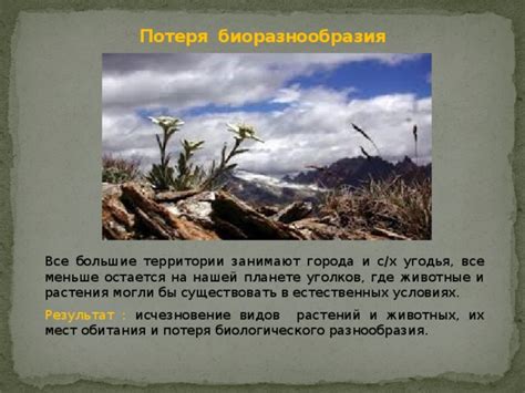Потеря биологического разнообразия без наличия лесной растительности
