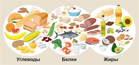 Потребности всех существ в продуктах питания и жидкости