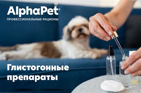 Почему необходимо регулярно проводить дегельминтизацию домашних питомцев