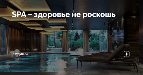 Почему стоит полностью погрузиться в атмосферу заведения кота