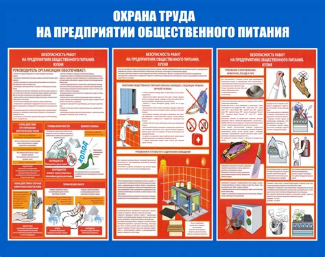 Правила обеспечения безопасности при предоставлении птичьих частей для питания собак