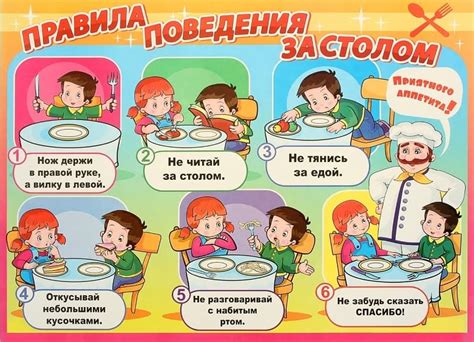 Правила отката пищи для домашних питомцев