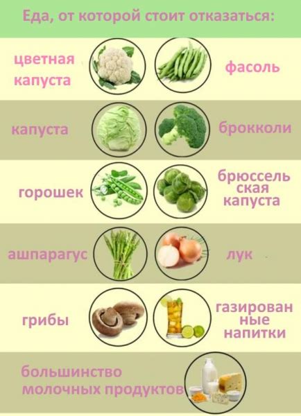 Правильное питание для предотвращения вздутия живота у пса