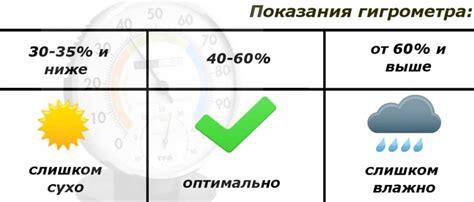 Правильный выбор окружающей среды: оптимальная температура и влажность