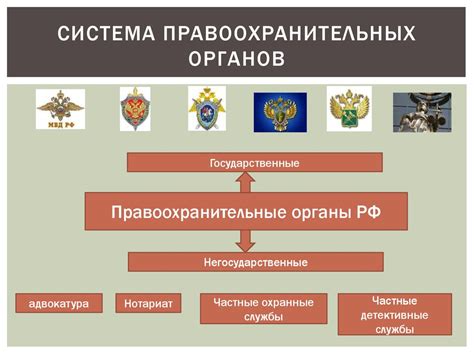 Правоохранительные меры: обеспечение безопасности и защита общества