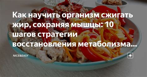 Практические рекомендации для поддержания оптимальной активности метаболизма