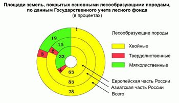 Предпочитаемые типы лесов для домовых котов в Российских лесах