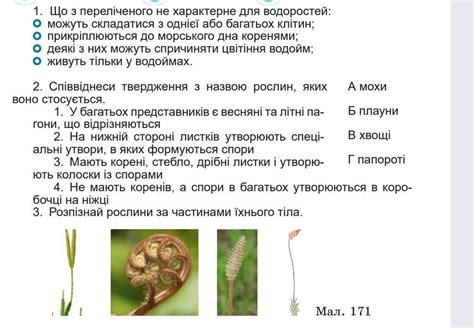 Представление о процессах активности водоростей: ложные преувеличения и научная правда