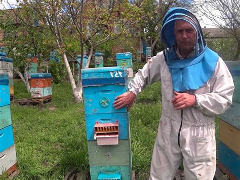 Преимущества и недостатки содержания пчел в огородных союзах