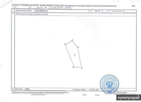 Преимущества и уникальные возможности заказа кадастрового паспорта через МФЦ