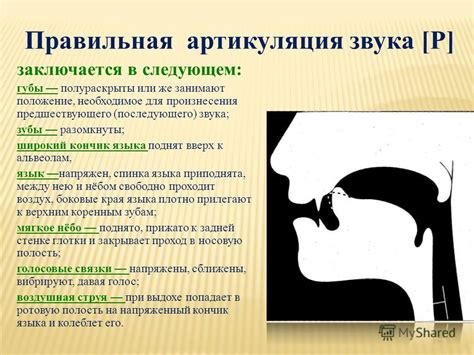 Преимущества оригинального звука и языка