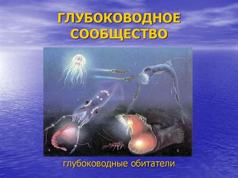 Преступные лососи: отмывание в морях и океанах