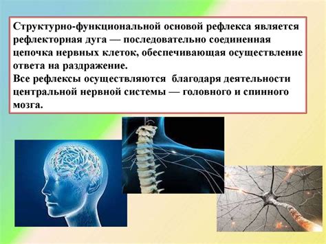 Признаки и проявления расстройства функций организма