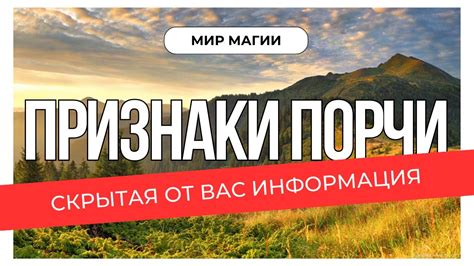 Признаки порчи нори: как определить, что продукт не пригоден к употреблению