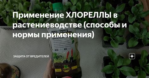 Применение калийных растворов в растениеводстве