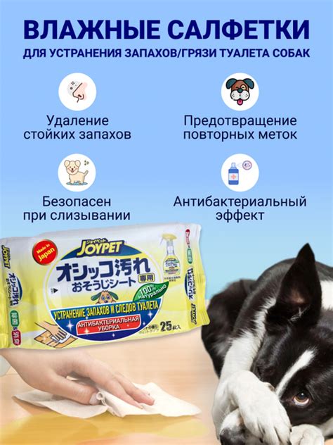 Применение очищающего средства для устранения следов гуталина