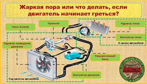 Принцип работы и устройство радиатора отопления в автомобиле Nexia N150