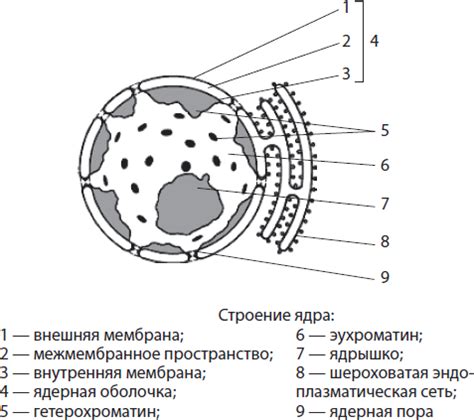 Природа Ярового и ее уникальные черты