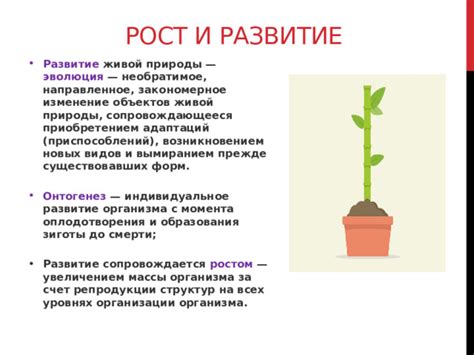 Природное развитие: гармония между ростом и вымиранием