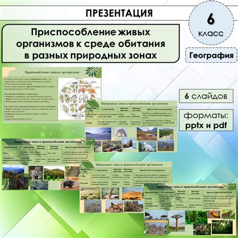 Приспособление к окружающей среде и эволюция
