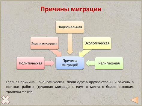Причины и механизм миграции енотов