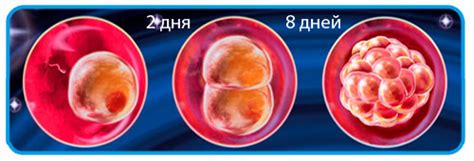 Причины неприкрепления эмбриона к эндометрию