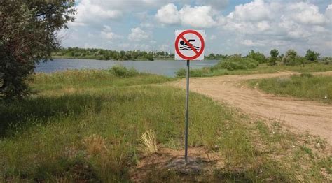 Причины побледнения воды в пруде и их преодоление