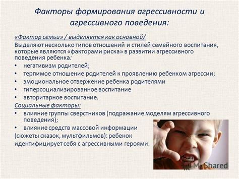 Причины формирования агрессивного поведения у малышей двухлетнего возраста