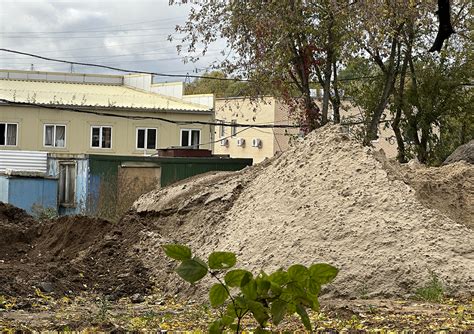 Проблема пищевого отхода: масштабы и последствия