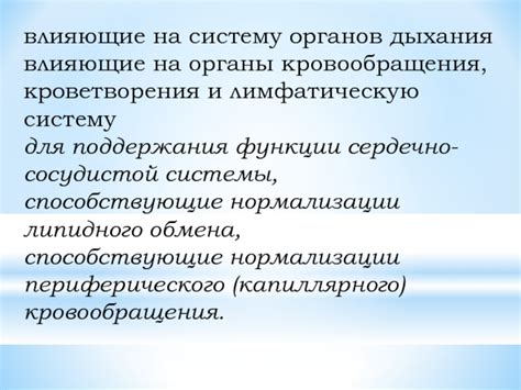 Продукты, способствующие улучшению дыхания