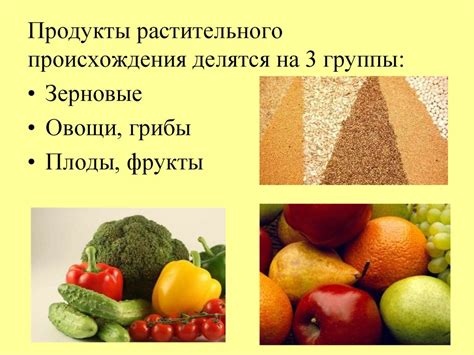 Продукты растительного происхождения