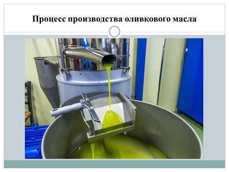 Производство оливкового масла: процесс придания особенного качества и уникальности