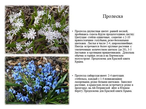 Проницательные капли, пробиваясь сквозь монотонную серость небес
