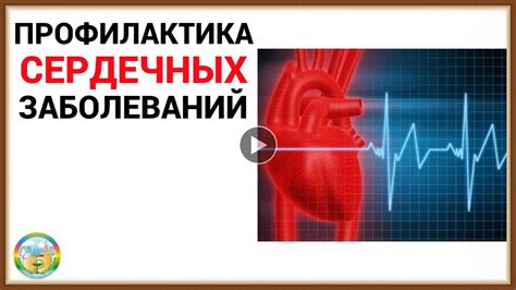 Профилактика сердечных заболеваний: ключевая роль кардиоваскулярных упражнений