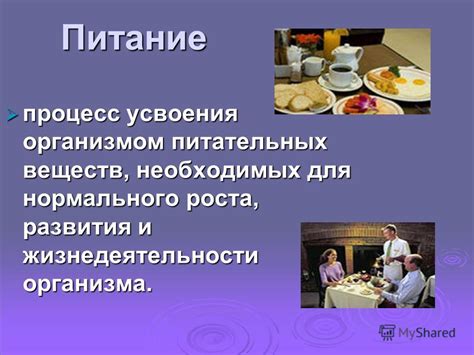 Процесс захвата и разложения питательных веществ микроскопическим одноклеточным организмом