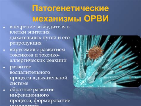 Процесс мерцания эпителия и его механизмы