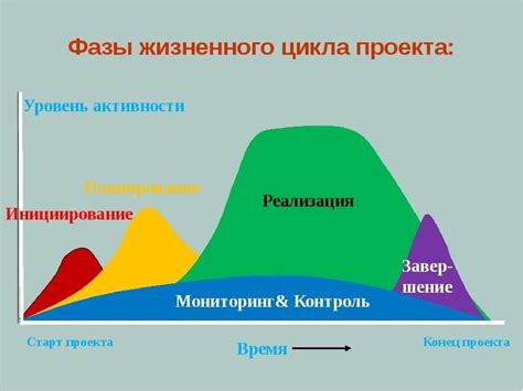 Процесс поглощения осветительной лампы в организме: основные этапы и возможные последствия