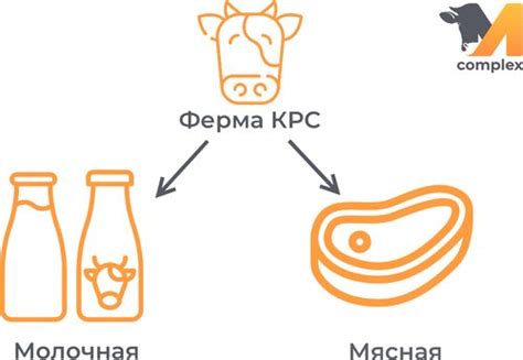 Прямая покупка у производителей на мясных фермах