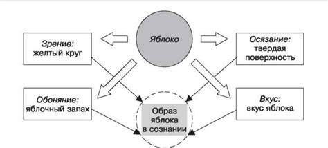 Психологическая составляющая при восприятии стороненности рисунка