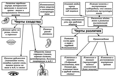Психологические черты сходства между людьми и животными в контексте ОГЭ