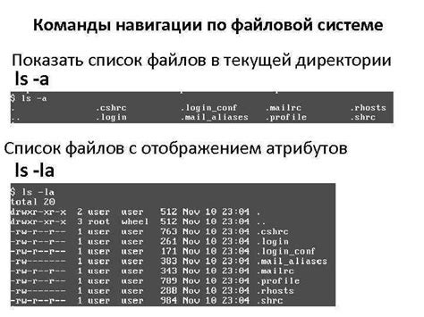 Путь к творческой свободе: обнаружение директории с модификациями в файловой системе