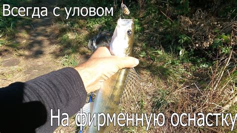 Путь мужчины с уловом рыбы: индикатор готовности к переменам в бытии