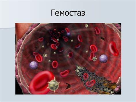 Развенчиваем заблуждения об воздействии жидкости на процесс свертывания крови