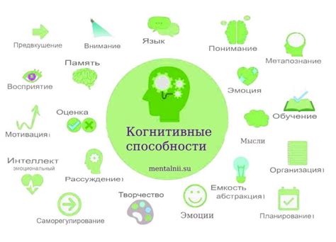 Развитие когнитивных и аналитических способностей