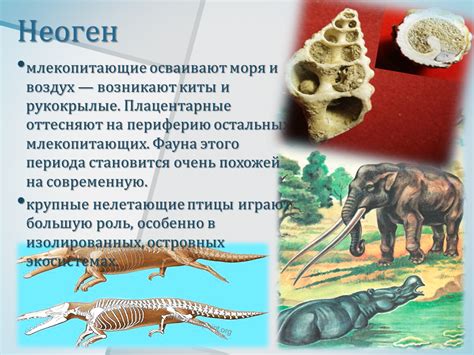 Различия и особенности Кб и бристоля