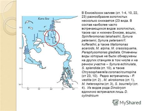 Разнообразие видов кровососов, часто встречающихся в земледельческих районах