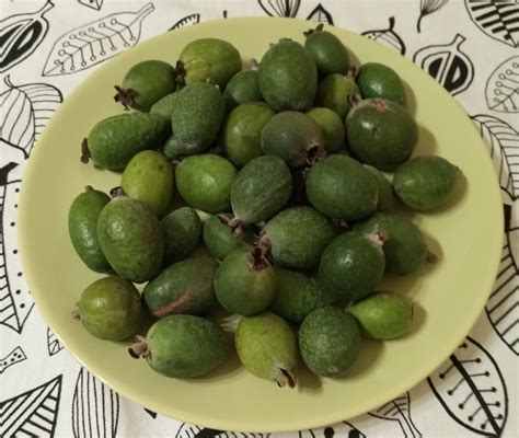 Разнообразие способов наслаждения вкусом и пользой фейхоа