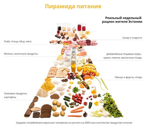 Раннее питание на древней Руси: основные продукты и рацион
