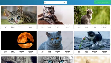 Раскрытие информации изображений: Возможности выявления данных из фотографий