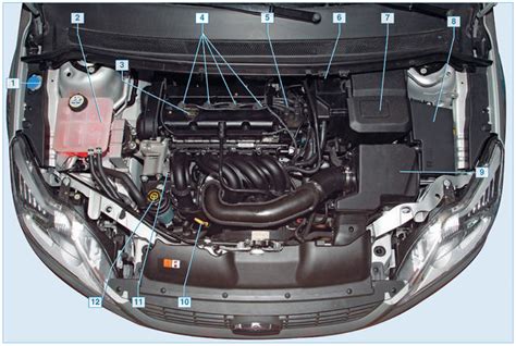 Расположение датчика запирания крышки заднего отсека автомобиля Ford Focus 2